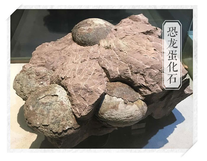 �й���������һ�����㽭���������Ŀ���