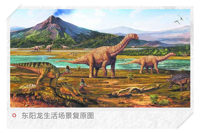 �й���������һ�����㽭���������Ŀ���