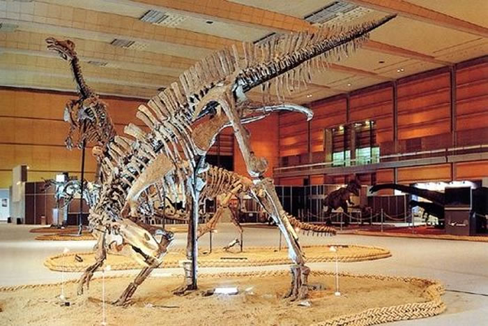 ɳ�����й���������У������й�����һ������