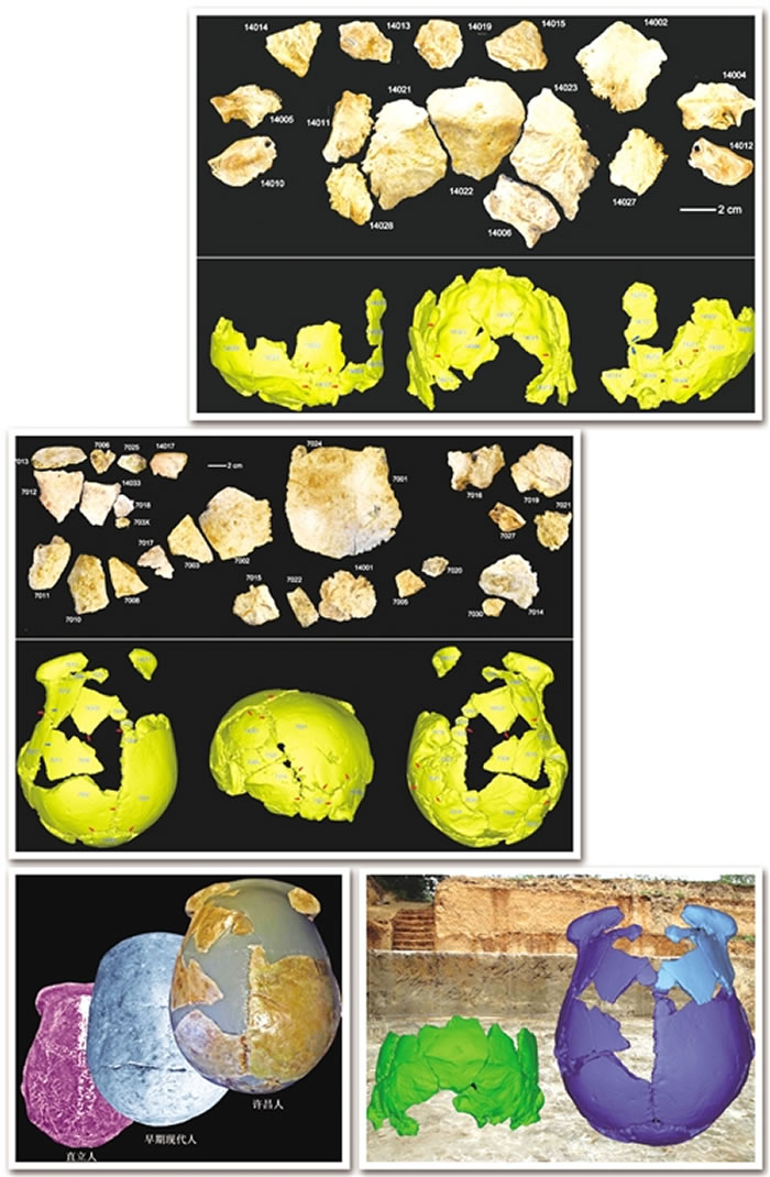 ͼ�� �������ˡ�2��ͷ�ǻ�ʯ��Ƭ��ͷ�ǻ�ʯ��3D���⸴ԭ��ͼ�� �������ˡ�1��ͷ�ǻ�ʯ��Ƭ��ͷ�ǻ�ʯ��3D���⸴ԭ��ͼ�� �������ˡ�ͷ�Ƕ���ۼ�����ֱ���ˡ�����