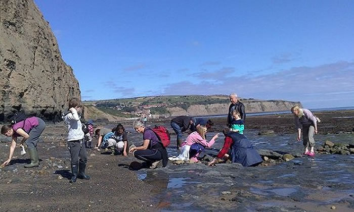 Saltwick������һƬ��ģ��С������ɳ�ӵĺ��壬λ�ڻ��رȶ���1Ӣ�Լ1.61�����λ�á�