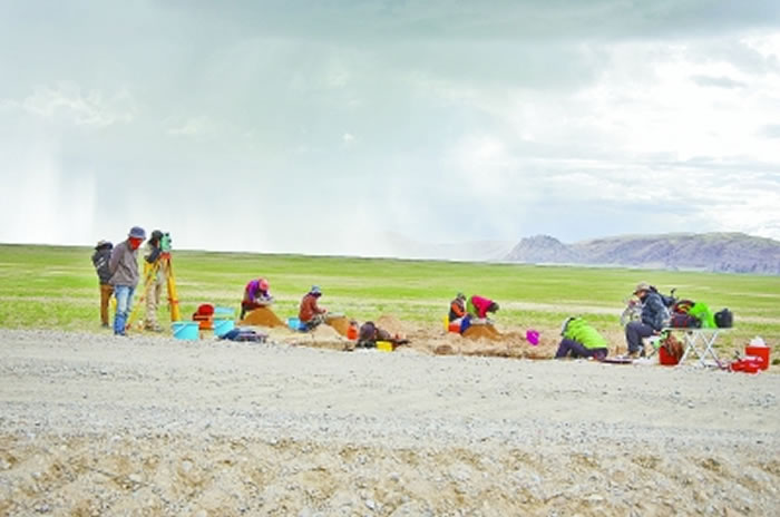 ��ַ�����ֳ� ����ͼƬ