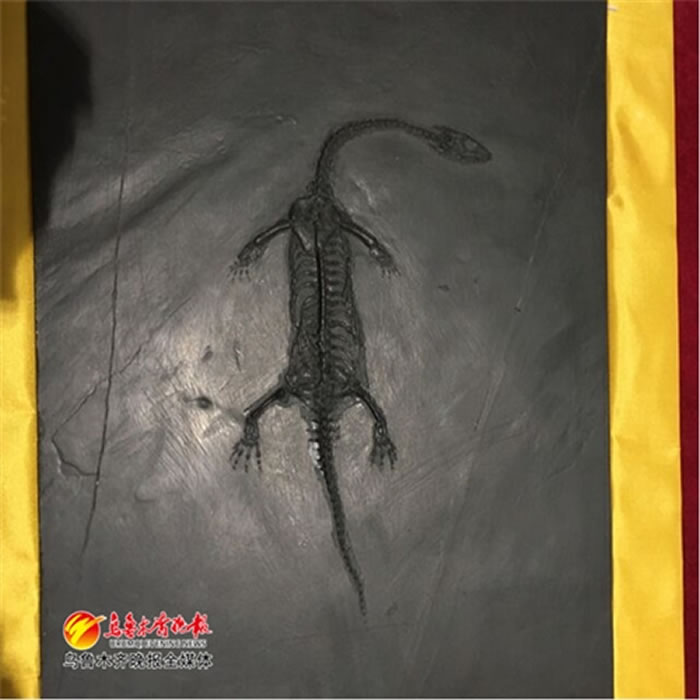 �½����ʲ����ӭ��������������ʯ