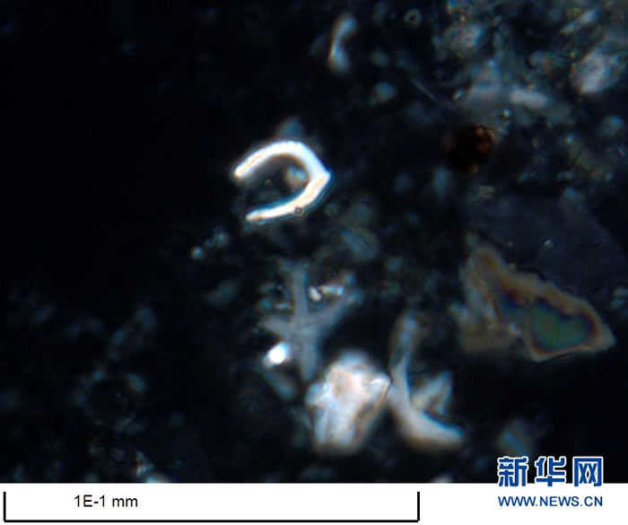 �Ž���֪���٣��׺�ɣ�Ｘ��Ǩ�����ڷŴ�1000�౶����΢���£������ġ����ϵĿ�ѧ�Ҷ����˴��Ϻ�������ȡ����о�С���΢���硱�����ԡ��»��緢������ �㣩