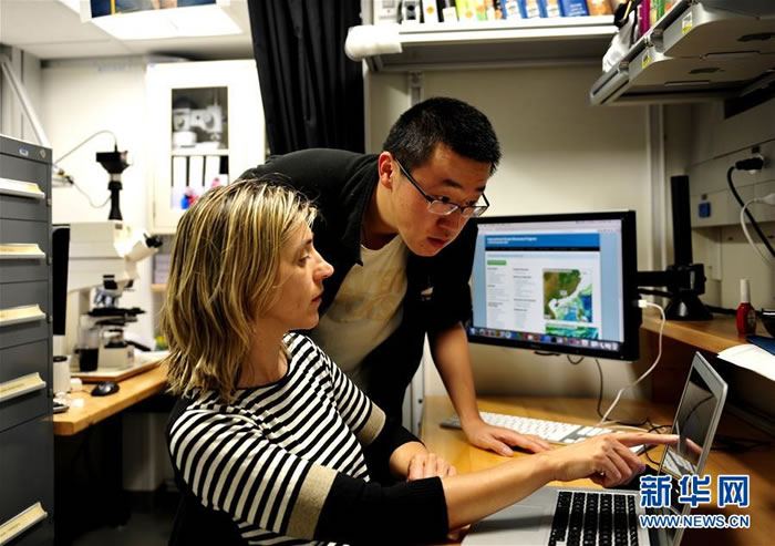 �Ž���֪���٣��׺�ɣ�Ｘ��Ǩ�����ڷŴ�1000�౶����΢���£������ġ����ϵĿ�ѧ�Ҷ����˴��Ϻ�������ȡ����о�С���΢���硱�����ԡ��»��緢������ �㣩