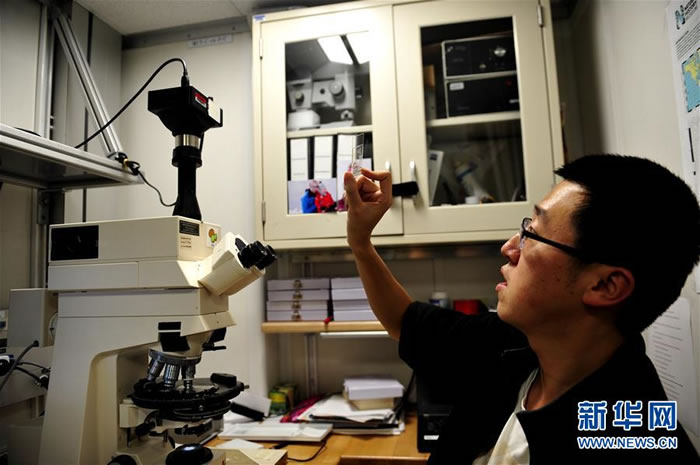 �Ž���֪���٣��׺�ɣ�Ｘ��Ǩ�����ڷŴ�1000�౶����΢���£������ġ����ϵĿ�ѧ�Ҷ����˴��Ϻ�������ȡ����о�С���΢���硱�����ԡ��»��緢������ �㣩