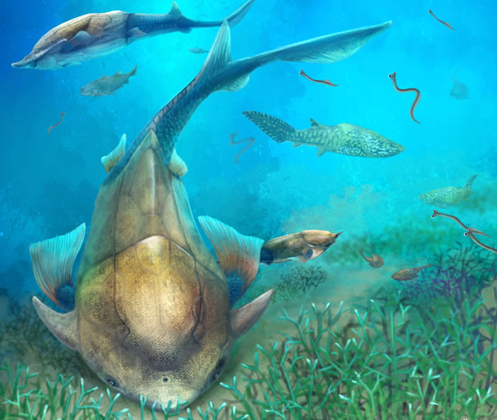 ־���͹�����ؼ�׵������ݻ�֮·