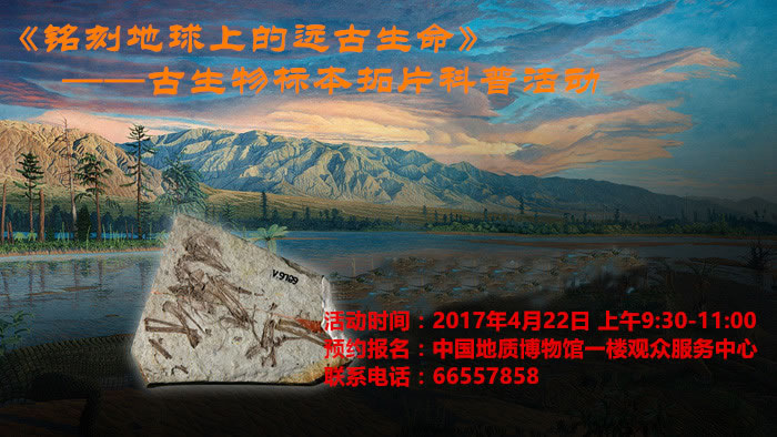 ���ļ�������̵����ϵ�Զ��������������������걾��Ƭ�����ջ