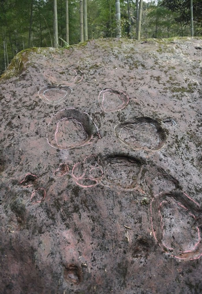 中央电视台科教频道(CCTV—10)《地理·中国》栏目摄制组探秘古蔺恐龙脚印化石