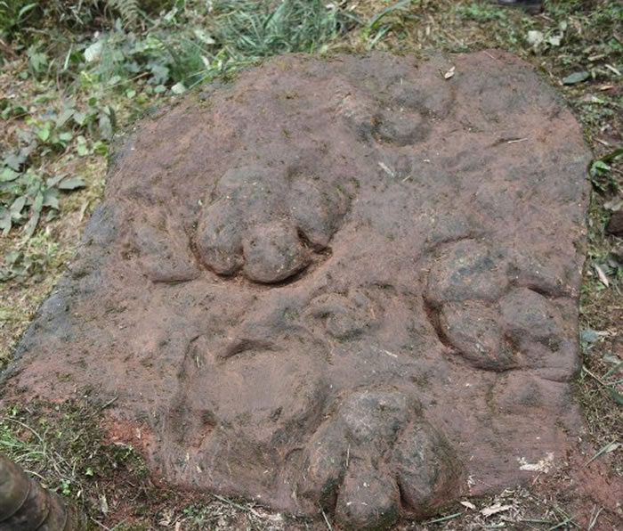 中央电视台科教频道(CCTV—10)《地理·中国》栏目摄制组探秘古蔺恐龙脚印化石