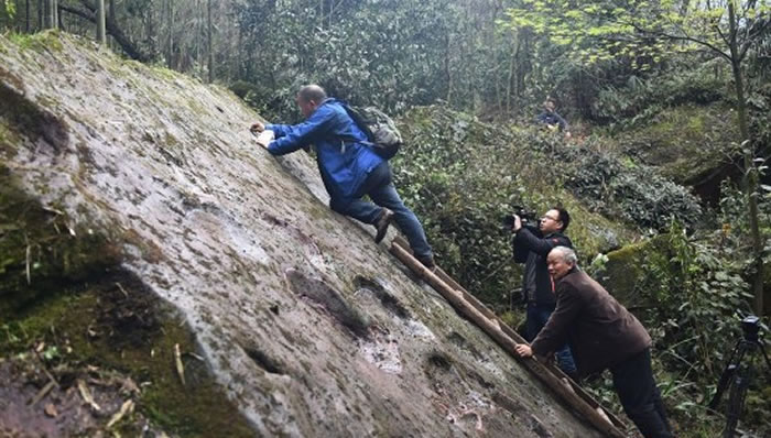 中央电视台科教频道(CCTV—10)《地理·中国》栏目摄制组探秘古蔺恐龙脚印化石