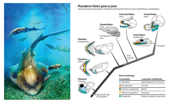 2016����й�������ѧʮ���չ���� ��������ѧ�ҽ���Զ�ŵ�����