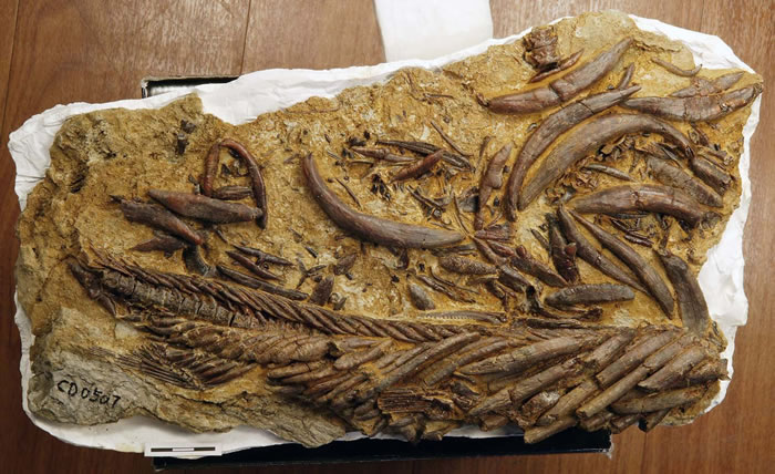 㻯ʯڲľУ伫Ϊ֮鲼ȫĳִĹûжٿռɹδŵġ