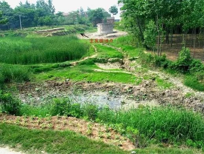 ��������ַ