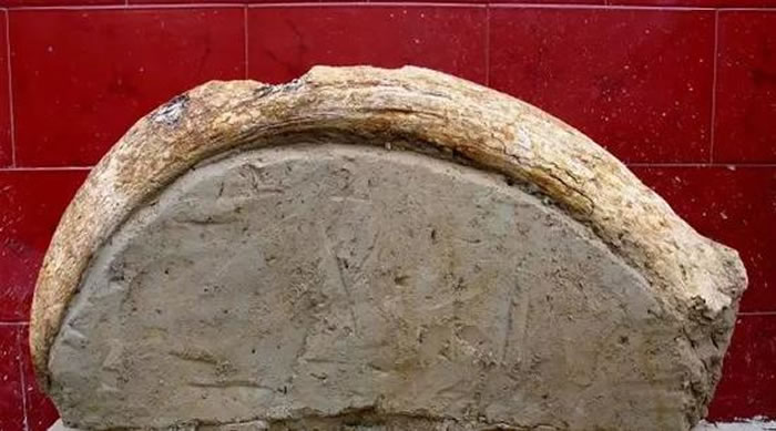 �龮��ַ������ԭʼţ�ǻ�ʯ������������ܷ��߹�ͼ