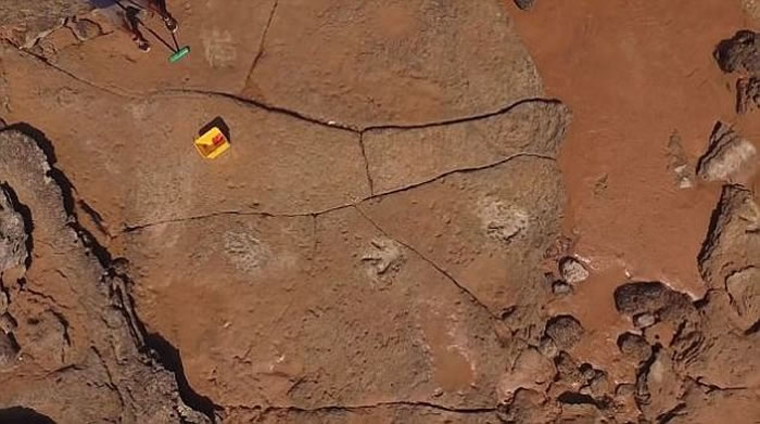 ���޵�٪�޼͹�԰������ʡ��������21�ֲ�ͬ�����Ļ�ʯ�㼣