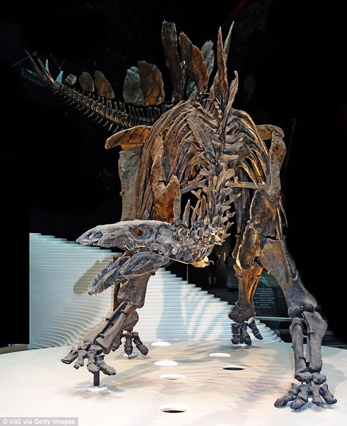 ���޵�٪�޼͹�԰������ʡ��������21�ֲ�ͬ�����Ļ�ʯ�㼣