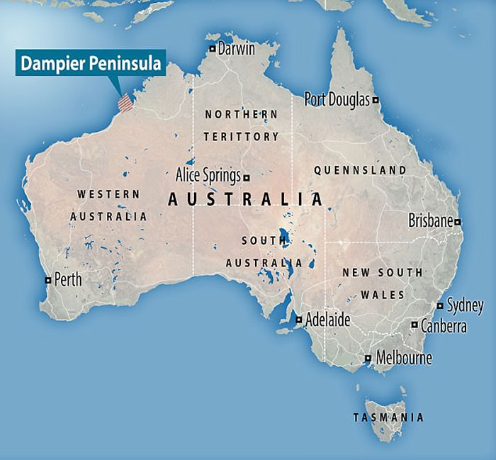 ���޵�٪�޼͹�԰������ʡ��������21�ֲ�ͬ�����Ļ�ʯ�㼣