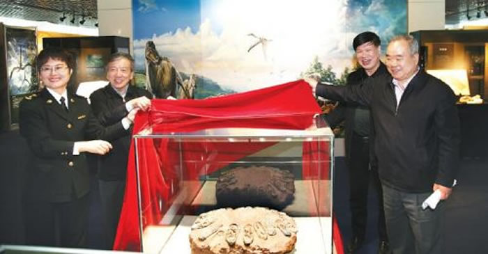 “守护远古的生命——海外追索及国际交流化石展”开幕式在中国地质博物馆举行