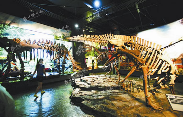 ������÷���򷢾�Ķ������������ʯ�����޸���Ϊ�����ġ������������ǵĸ�ԭ����Ϊʮ�߲���ݵ����֮����