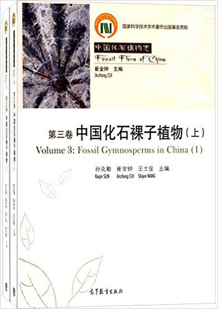 《中国化石裸子植物》追溯中国古植物的演化