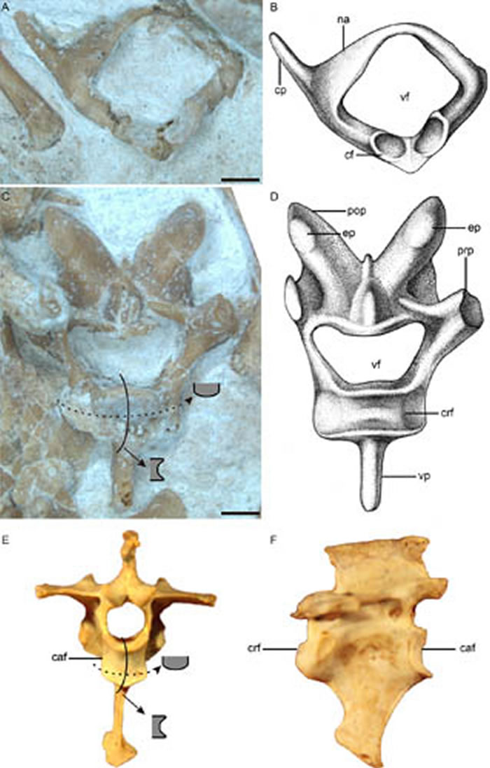����ʳ�㷴��׵����������ıȽϣ�������ʷ���깩ͼ��