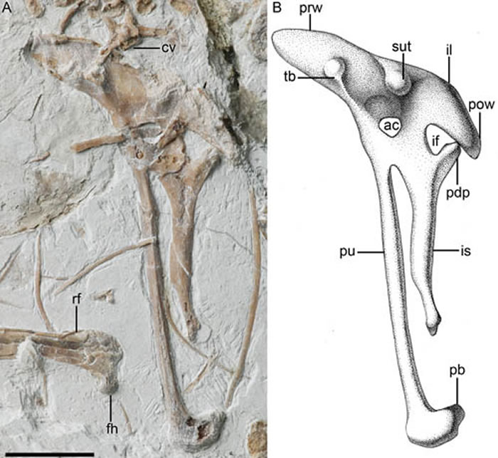 ����ʳ�㷴������������������ʷ���깩ͼ��