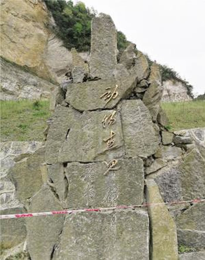 �����������������������顱�б�