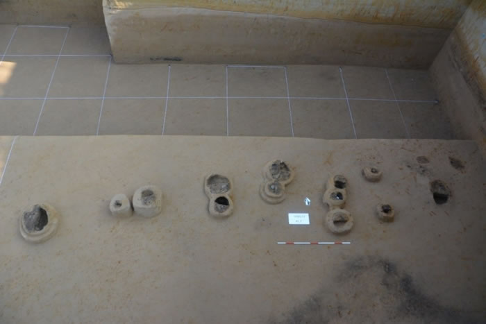 ���������ż�