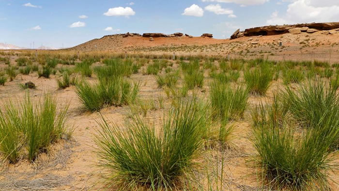 2016���ȫ��ʮ�󿼹��·��֣�������ͭϿ����ɽ��ַ���ֺ���ɽ�¹�������Ϣ��������