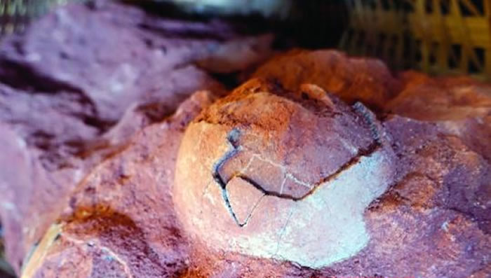 �㶫ʡ��ɽ���Ϻ��������򱱴�ˮբ�������ط���7000����ǰ��������ʯ