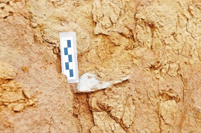 �鱦�ִ��ʯ���ص㷢�ֵ��˹�ʯ��