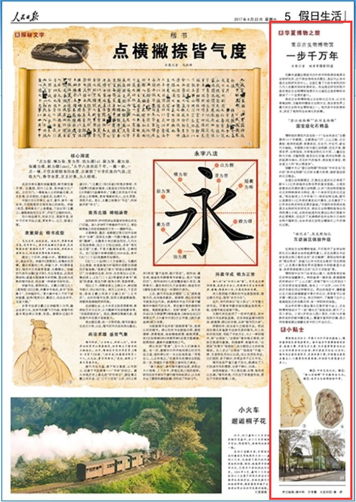 �����ձ����Ͼ������ﲩ���һ��ǧ����