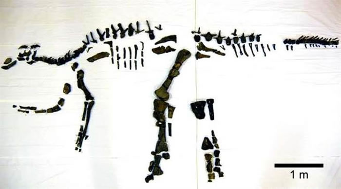 �������Ĵ���Ѽ͵ز��ھ���ձ����Ѽ�����������ֿ���������ʯ