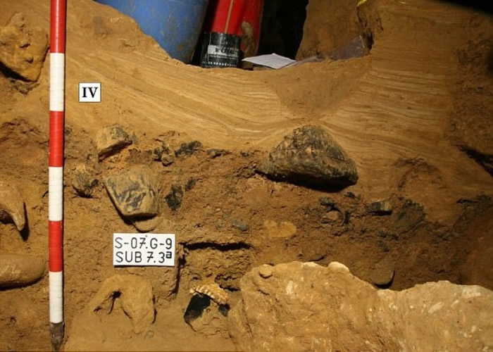 �о���Ա�����Ѿ��ֵ�ԭʼ�˻���