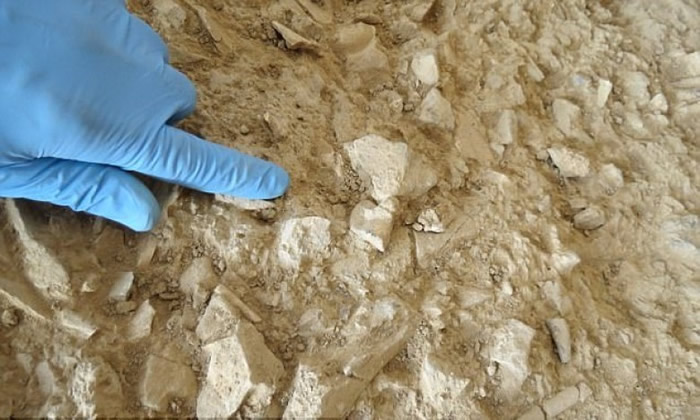 �о���Ա�ڿ��Ŷ�Ѩ�ڳ�ȡ��������������