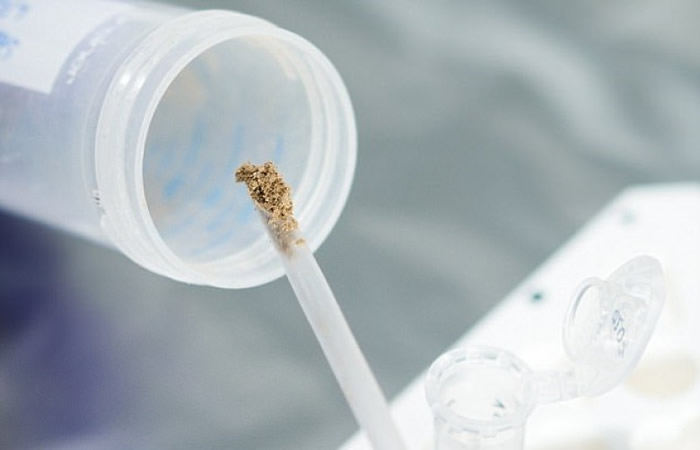 ��ʹû�й�ͷ��ǼܵȻ�ʯ����ѧ�����������DNA��ԭʼ�˽����о���