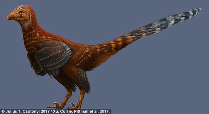中国东北地区白垩纪地层发现新型有羽毛恐龙化石——“腾氏嘉年华龙”