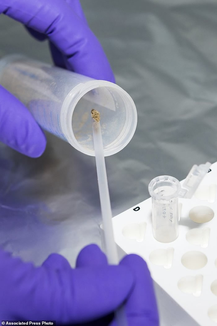 û�л�ʯҲ���� ��ѧ�����ܹ�����������������ȡ�ͷ���������DNA