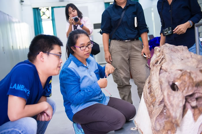 �Թ����������٪�޼͵ز���������о�����ӭ��̩�������о�ѧ��