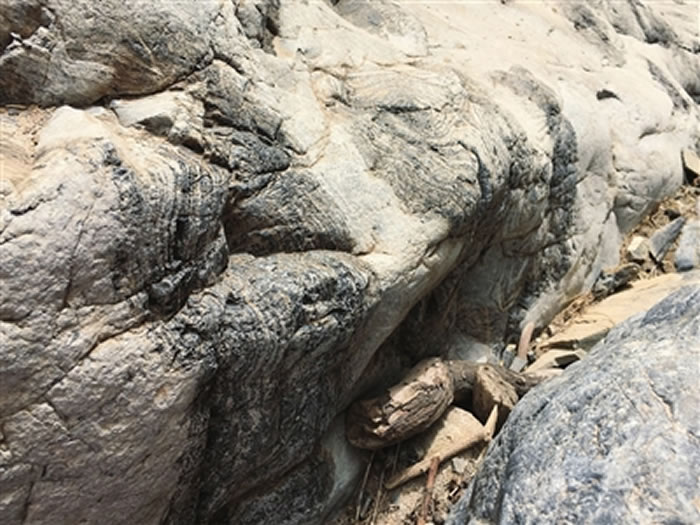 ��ũ����ʯ��������л�ʯ