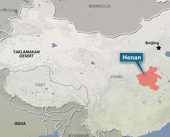 河南省地质博物馆镇馆之宝的巨型窃蛋龙类恐龙“路易贝贝”正式命名为中华贝贝龙