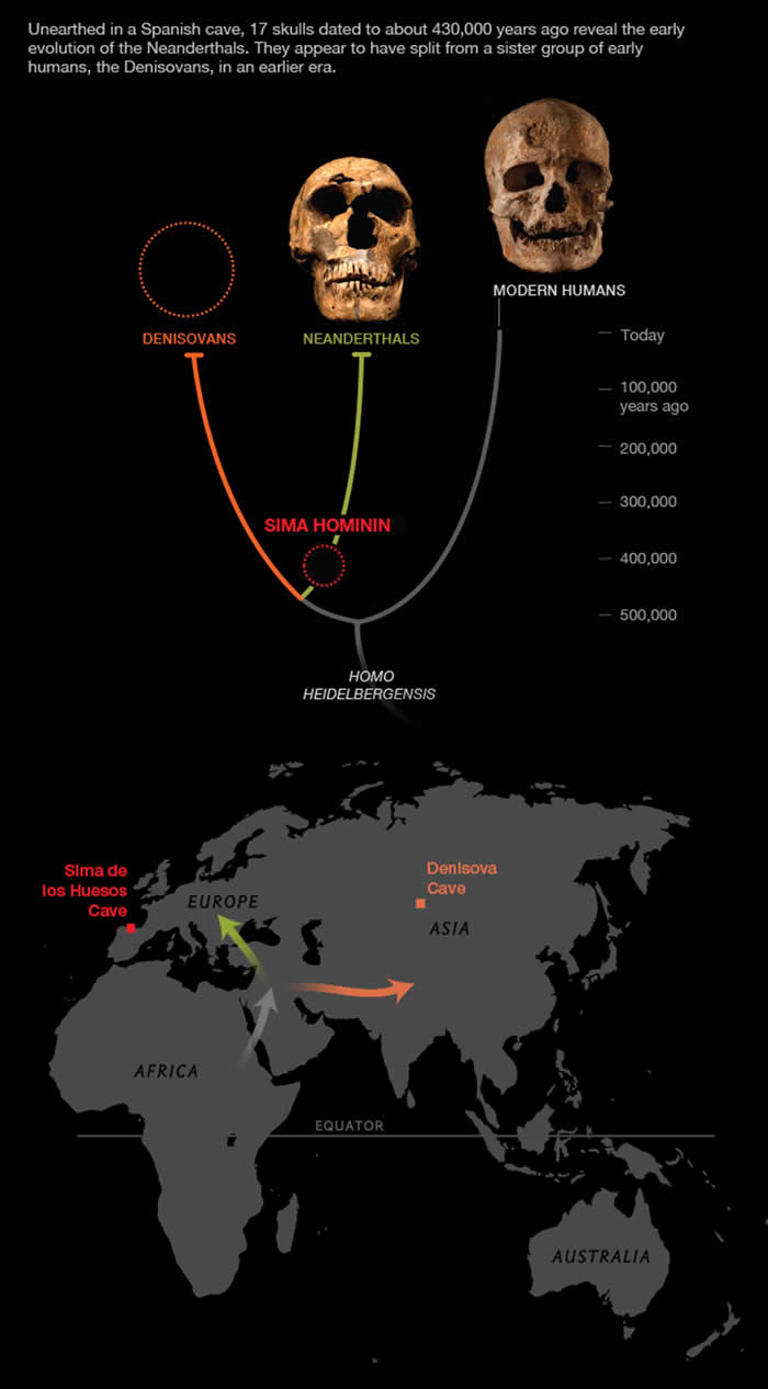 ��ѧ�ҷ����������б���ƣ���Щ��Ѩ�е�λ�����������е����ڶ���˹���������й������������