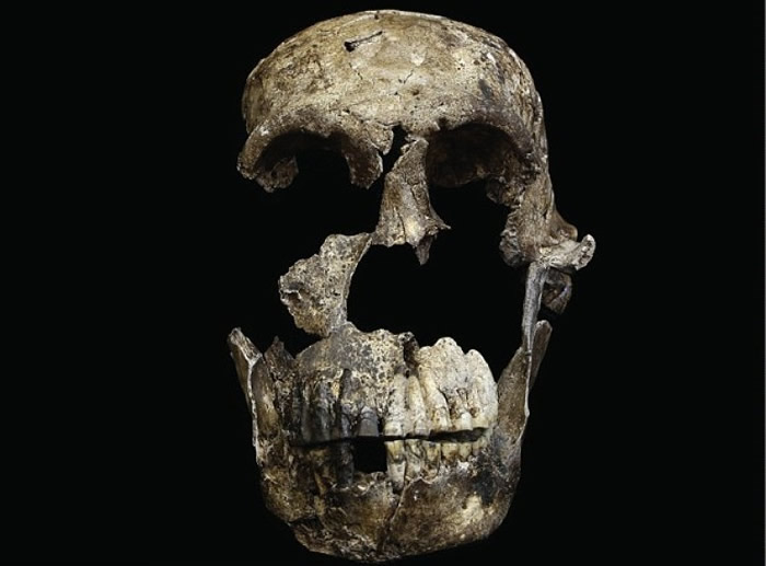 �����������˽��������ˡ�