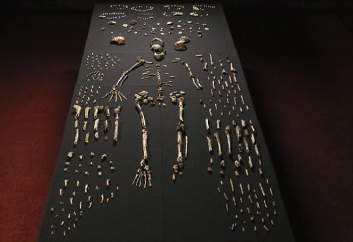 ѧ��������һ���˽��������ˡ�