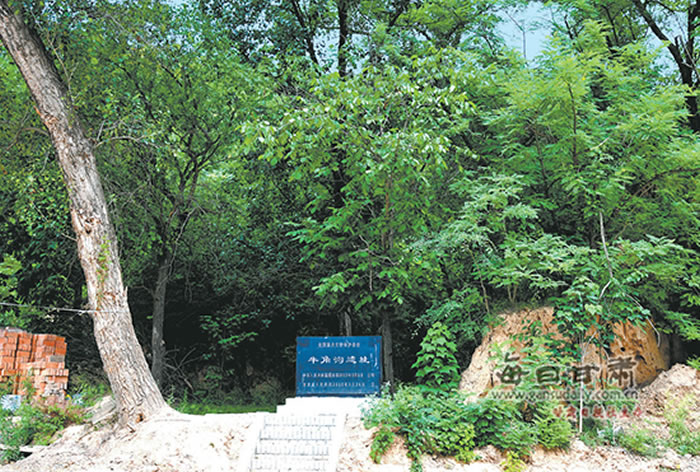 �������ˡ�ͷ�ǻ�ʯ���ֵء�