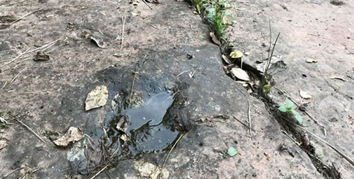 ����ϰˮ�غӱ����Ʒ���60��ö������ӡ��ʯ