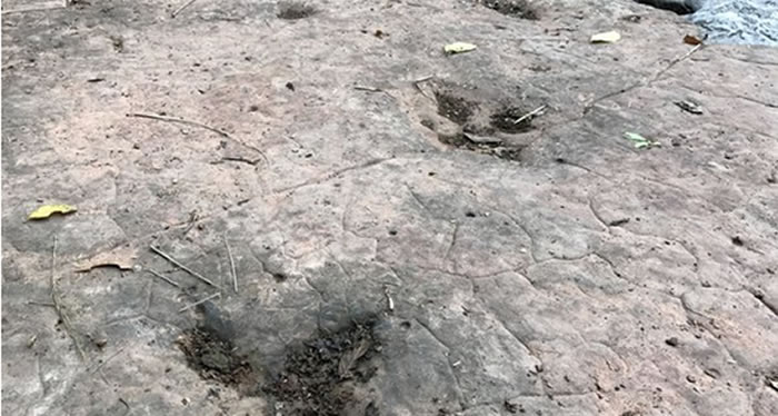 ����ϰˮ�غӱ����Ʒ���60��ö������ӡ��ʯ