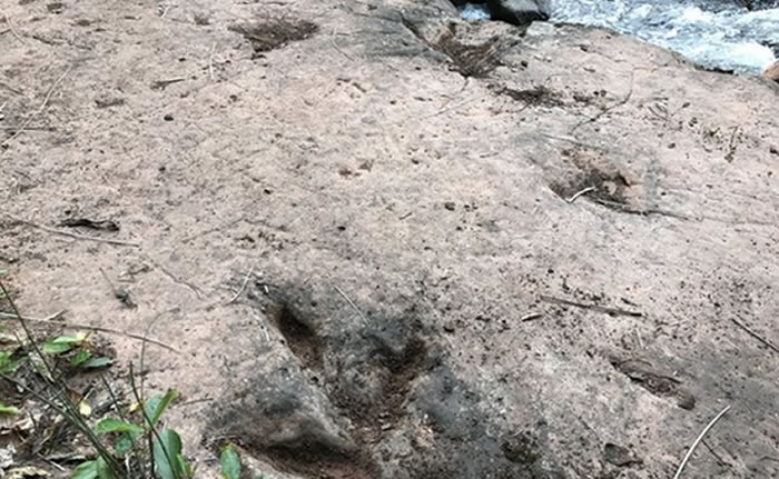 ����ϰˮ�غӱ����Ʒ���60��ö������ӡ��ʯ