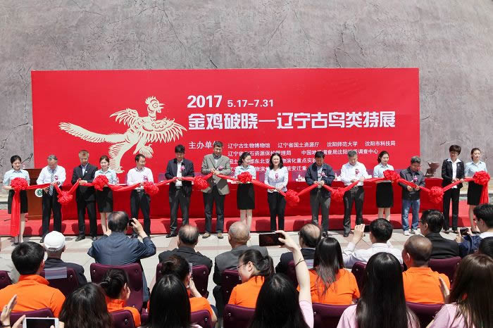 ���������ﲩ��ݾ��С�����������������չ